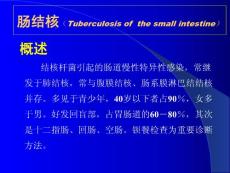 《腸結(jié)核》課件