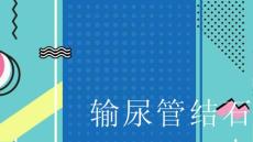 输尿管结石_1