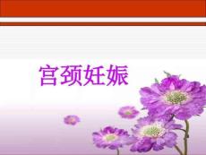 〖医学〗宫颈妊娠