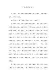 艾雨柔胃疼作文