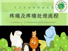 疼痛及疼痛处理流程