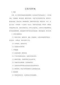 头晕护理常规