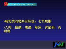 寰枢椎半脱位治疗攻略