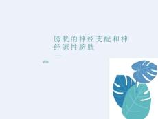 膀胱的神经支配和神经原性膀胱
