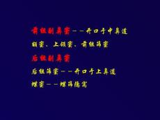 鼻和副鼻窦肿瘤影像诊断