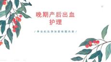 晚期产后出血护理课件