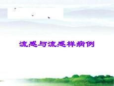 流感与流感样病例