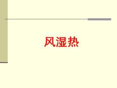风湿热【41页】