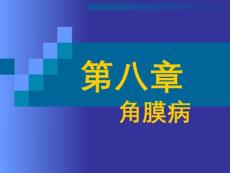 角膜病【69页】