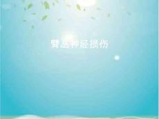 臂丛神经损伤【45页】