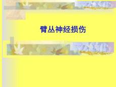臂丛神经损伤【23页】