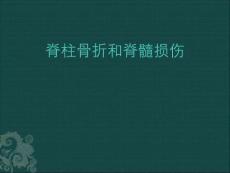 脊柱骨折【72页】