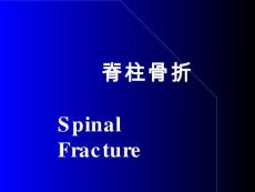 脊柱骨折【36页】