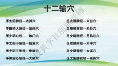 十二俞穴 手麻臂痛7.21