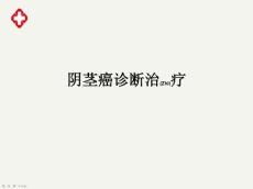 阴茎癌治疗及诊断基础培训ppt