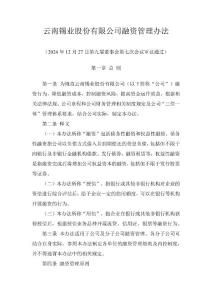 錫業(yè)股份：云南錫業(yè)股份有限公司融資管理辦法