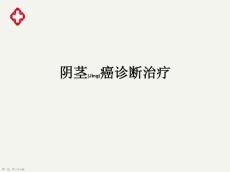 阴茎癌诊断及治疗教学课件ppt