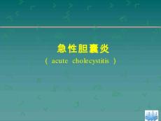 急性胆囊炎【19页】