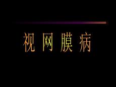 视网膜病-教学课件