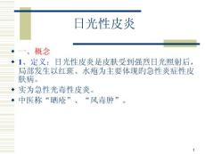 日光性皮炎课件