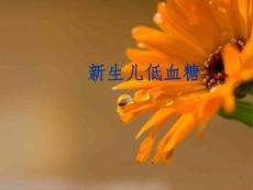 新生儿低血糖症及并发症ppt课件