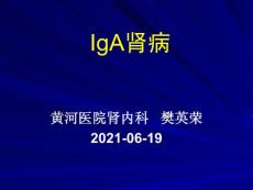 《iga肾病ywl》课件