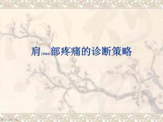 肩部疼痛的治疗及诊断基础培训ppt