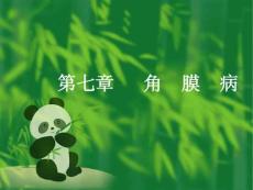 角膜病ppt课件