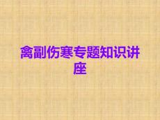 禽副伤寒课件