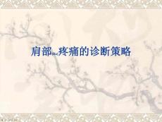 肩部疼痛的治疗教学课件ppt