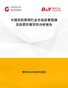 中国安防照明行业市场前景预测及投资价值评估分析报告