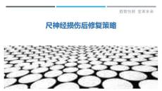 尺神经损伤后修复策略-剖析洞察