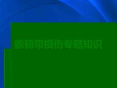 髌韧带损伤专题知识