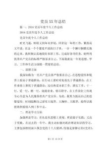 黨員XX年總結(jié)