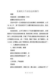 支部民主生活會(huì)總結(jié)報(bào)告