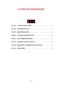 日光照射与角化病基因表达调控-剖析洞察