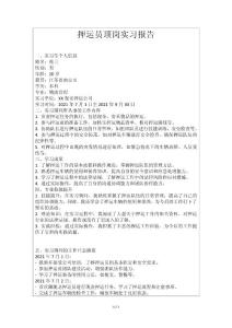 押运员顶岗实习报告