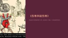 《伤寒和副伤寒》课件