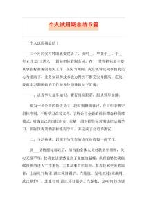 個人試用期總結