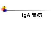 IgA肾病【48页】