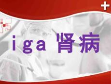 iga肾病【41页】