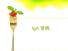 IgA肾病【25页】