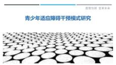 青少年适应障碍干预模式研究