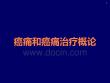 癌痛和癌痛治疗概论