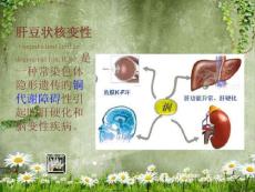 肝豆状核变性护理查房
