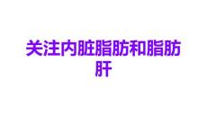 关注内脏脂肪和脂肪肝