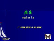 疟疾课件