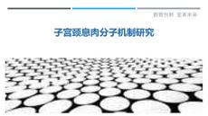 子宫颈息肉分子机制研究-详解洞察