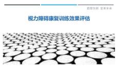 视力障碍康复训练效果评估-详解洞察