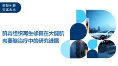 肌肉组织再生修复在大腿肌肉萎缩治疗中的研究进展-剖析洞察